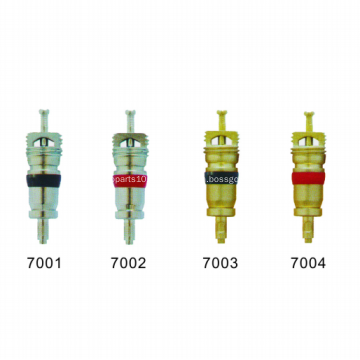 Noyau de valve de pneu 9000 8000 etc.